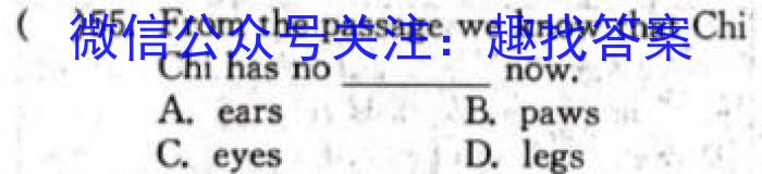 2025届河北大联考高一年级4月联考（005A·HEB）英语试题