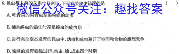 2024届四川大联考高二年级4月联考生物
