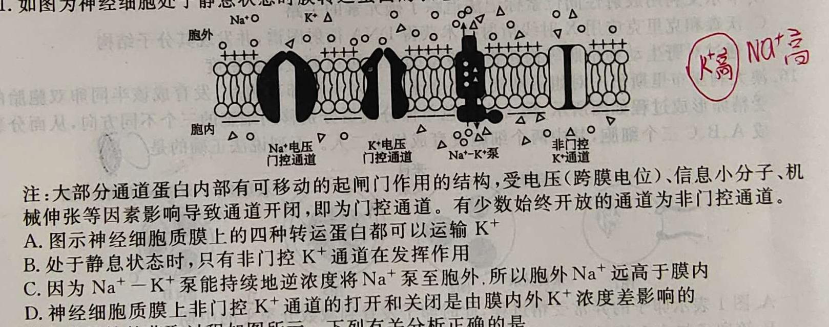 陕西省2023年八年级期中教学质量检测（23-CZ162b）生物
