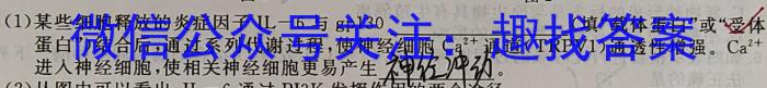 百校联赢·2023年安徽名校过程性评价一生物