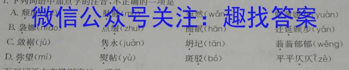 安徽省C20教育联盟2023年中考最后典题卷(一)语文