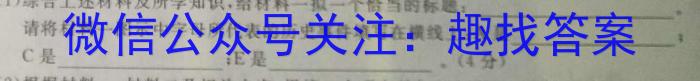 山西省2022-2023学年度八年级下学期期中综合评估（6LR）历史