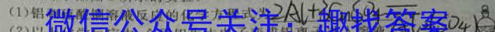 2023年湖北大联考高一年级4月期中联考（23-376A）化学