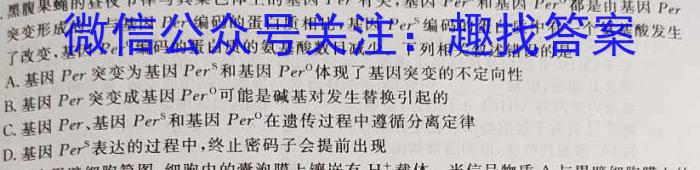 2023年中考密卷·临考模拟卷(三)生物