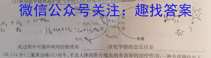 国考1号18·第18套·高中2023届高考适应性考试化学