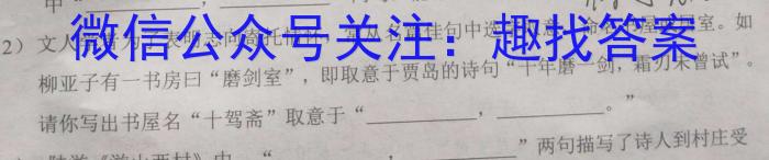 江西省中考总复习冲刺卷（四）语文