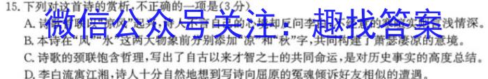 2023年普通高等学校招生统一考试 新S3·临门押题卷(四)语文