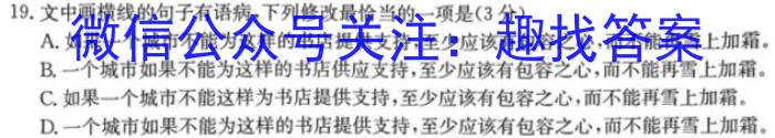 九师联盟 2022-2023学年高三5月高考仿真模拟(X/L)语文