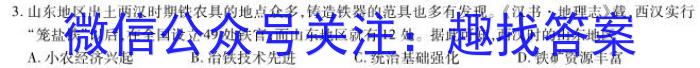 名校大联考·2023届普通高中名校联考信息卷(压轴一)历史