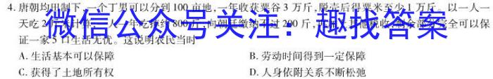 安徽省池州市2023年九年级中考模拟（三）历史