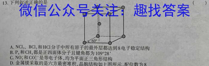 2023年陕西省初中学业水平考试冲刺卷化学