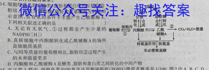 九师联盟2023年江西省高一下学期期中考试生物