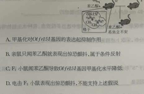 文博志鸿 2023年河北省初中毕业生升学文化课模拟考试(预测二)生物