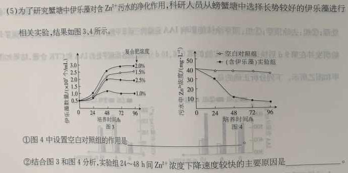 2023年河南大联考高三年级5月联考（578C-乙卷）生物