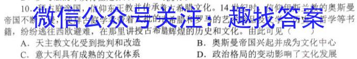 河南省2022-2023学年普通高中高一下学期期中教学质量检测历史