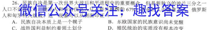 江西省吉安市十校联盟2024-2023学年九年级第二学期期中联考历史