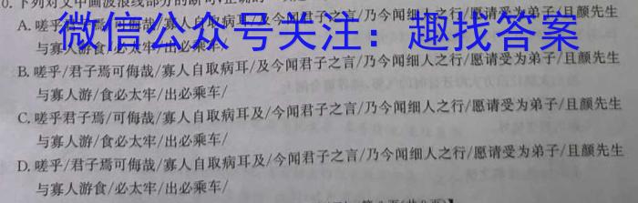 安徽省颍上县2023届九年级教学质量检测（5月）语文