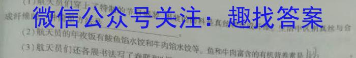 2023年陕西省初中学业水平考试·全真模拟卷（七）化学