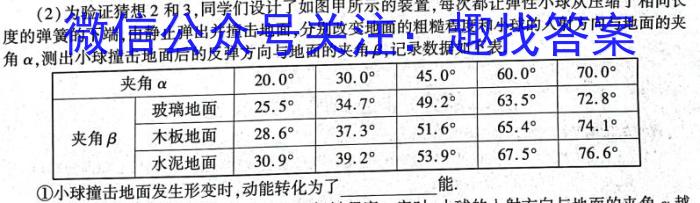 京师AI联考2023届高三质量联合测评全国乙卷(一)q物理