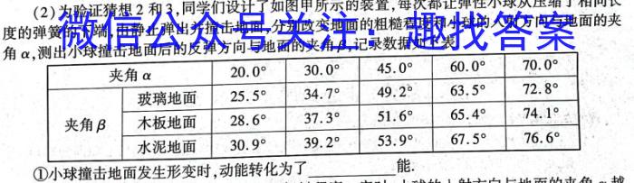 安徽省黄山市2024-2023学年度七年级第二学期阶段练习q物理