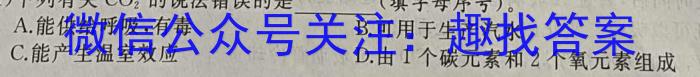 安徽省2025届七年级第七次阶段性测试(R-PGZX G AH)化学