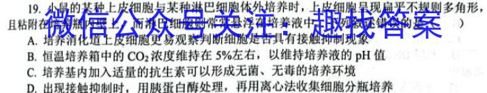 紫阳中学2022~2023学年高二第二学期期中考试(3398B)生物试卷答案