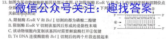 十堰市2023年高三年级四月调研考试(23-352C)生物