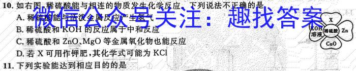 2023年山西省中考信息冲刺卷·第三次适应与模拟（5月）化学