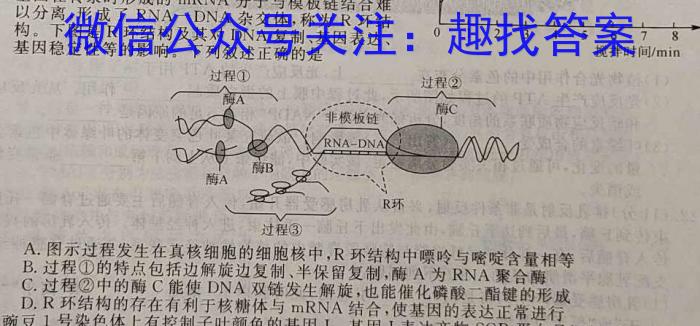 2023届普通高等学校招生全国统一考试冲刺预测·全国卷 EX-E(四)生物