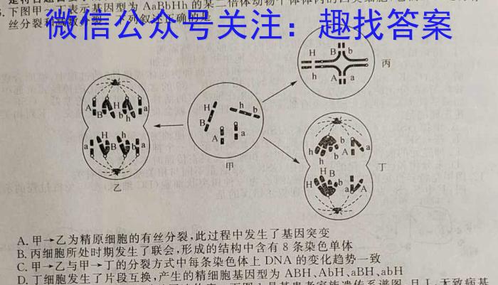 2023年衡水名师卷高考模拟压轴卷 老高考(三)生物