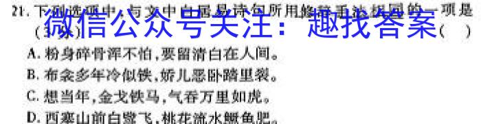 2023年河北大联考高三年级5月联考（578C·HEB）语文