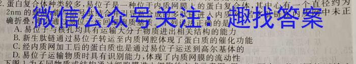 [咸阳三模]陕西省咸阳市2023年高考模拟检测(三)生物