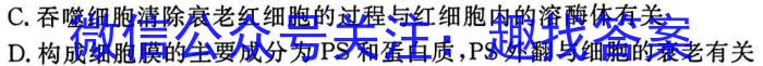 2024~2023学年河北省高三年级下学期4月份联合考试(23-410C)生物