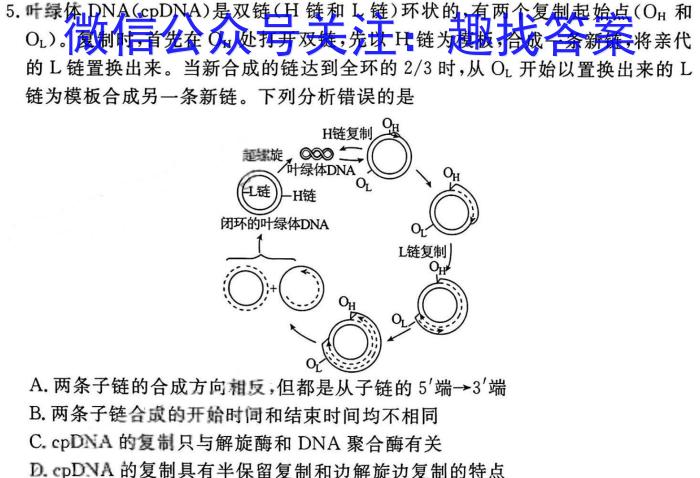 广西2023年4月高中毕业班模拟测试生物试卷答案