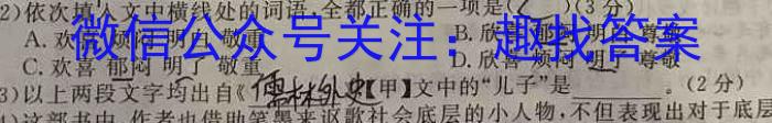 浙江省A9协作体2024学年第二学期期中联考高二语文