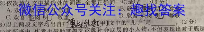 [启光教育]2023年普通高等学校招生全国统一模拟考试(S)(2023.5)语文