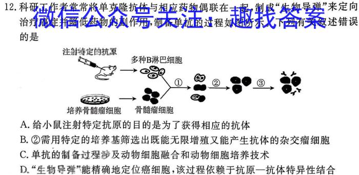 2023届高三随州一中 龙泉中学四月联考生物试卷答案