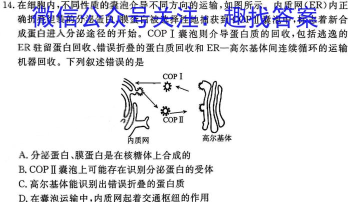 衡中同卷2024-2023学年度下学期高三五调考试 新高考生物