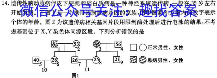 衡水金卷先享题2022-2023学年度下学期高三年级二模考试生物试卷答案