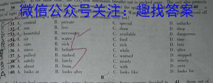 2023届中考导航总复*·模拟·冲刺卷(四)4英语试题