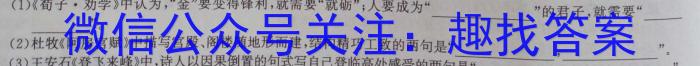 九师联盟2022-2023学年高三5月高考仿真模拟LG语文