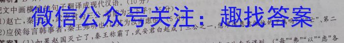 [泰安二模]山东省泰安市2022-2023学年高三二轮检测语文