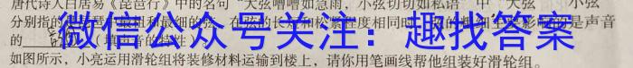 2023年湖南省普通高中学业水平考试仿真试卷(合格性考试)(第二次考试)l物理