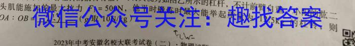 安徽省2023年九年级第二次教学检测q物理