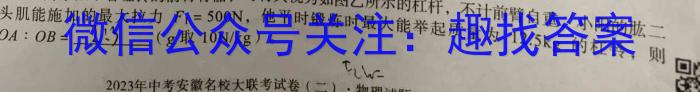 2023年陕西省初中学业水平考试冲刺（二）.物理