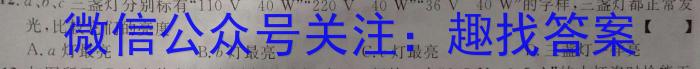 皖智教育 安徽第一卷·百校联盟2023届中考大联考.物理