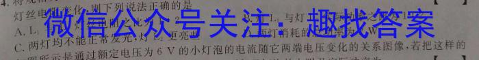 安徽第一卷·2023年中考安徽名校大联考试卷（三）物理.