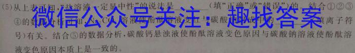 陕西省2023年第五次中考模拟考试练习化学