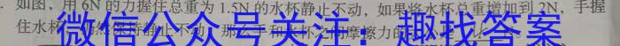 河南省2023年春期高中一年级期中质量评估物理.