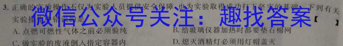 江西省2023年第五次中考模拟考试练习化学